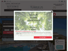 Tablet Screenshot of hotel-tumulus.com